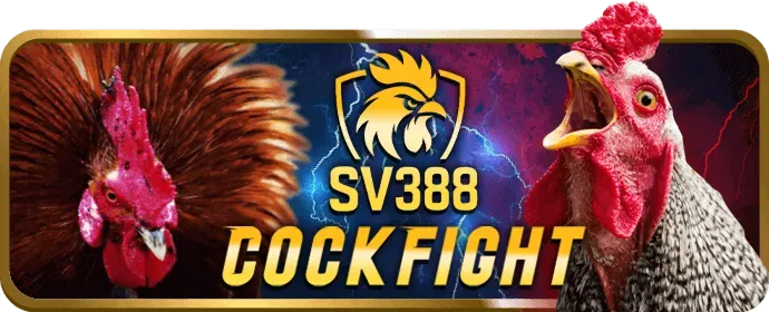 Game Baccarat tại typhu88 chính thức