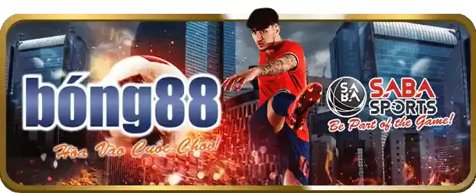 Chương trình VIP độc quyền typhu88